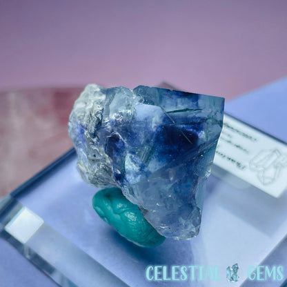 EXCELLENT Yaogangxian Colour-Zoned Fluorite Small Cluster Specimen (Video)