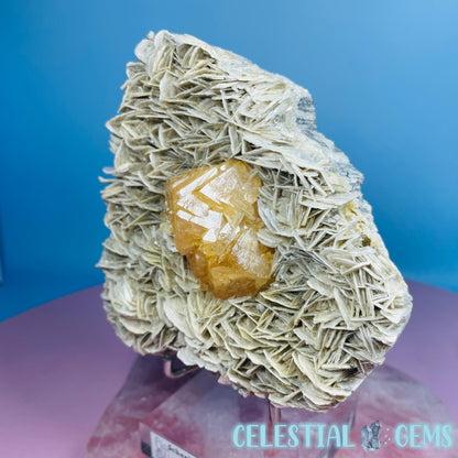 Rare Scheelite Gemstone in Muscovite Mica Cluster Large Specimen on Stand