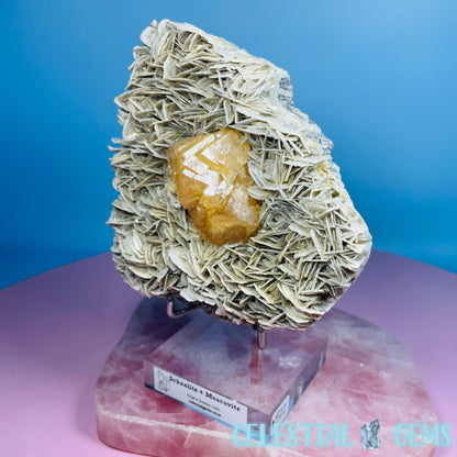 Rare Scheelite Gemstone in Muscovite Mica Cluster Large Specimen on Stand