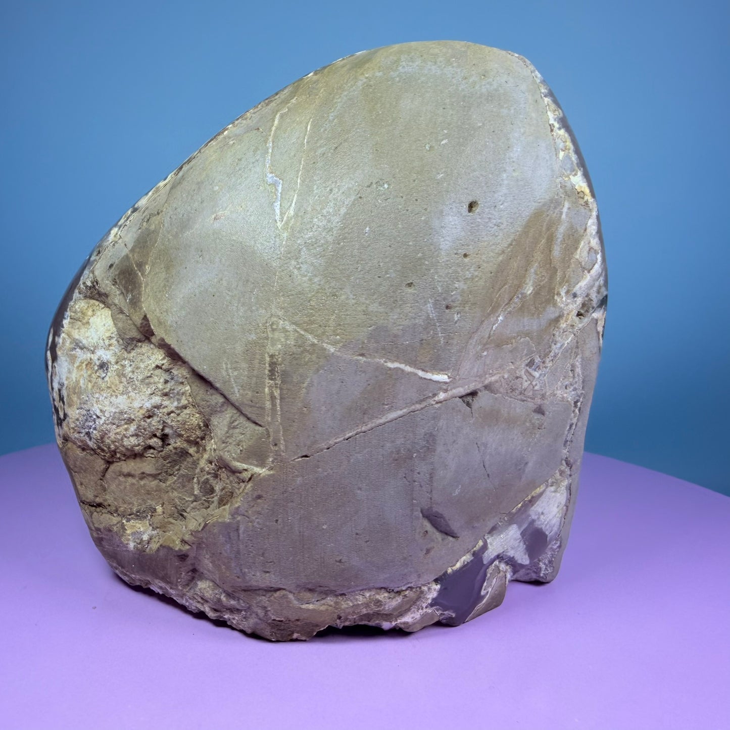 Amethyst Large Semi-Polished Cluster Freeform with Agate (Video)