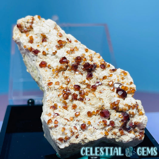 Spessartine Garnet Crystals on Albite Small Specimen in Box