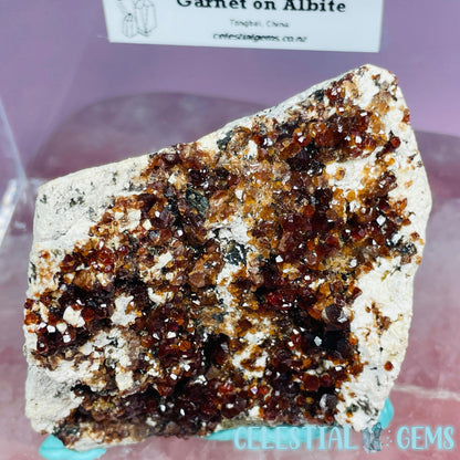 Spessartine Garnet Crystals on Albite Medium Specimen in Box