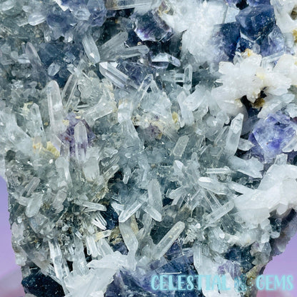 VERY RARE Inner Mongolia Colour-Zoned Fluorite with Jamesonite + Quartz Medium Cluster Specimen