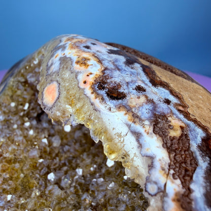 Citrine Medium Semi-Polished Geode with Blue Chalcedony (Video)
