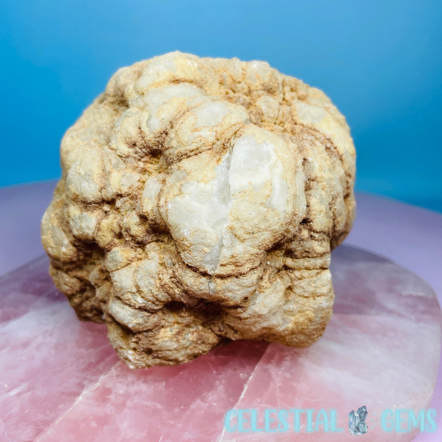 Cracked Quartz Raw Geode Large