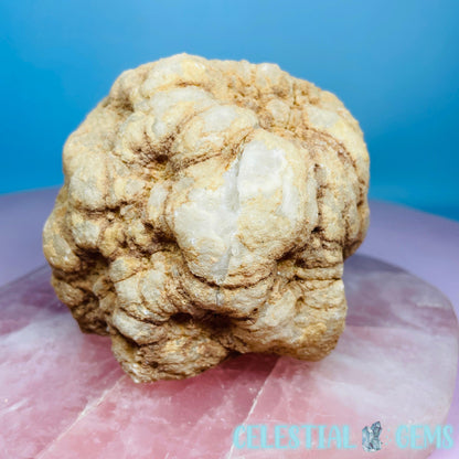 Cracked Quartz Raw Geode Large