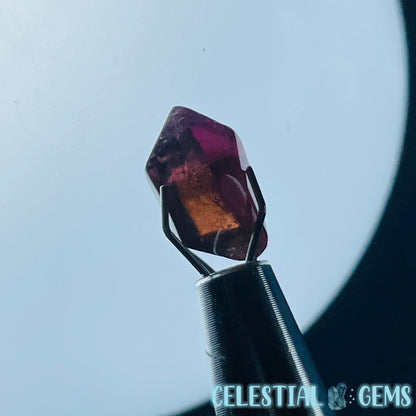 Pink Rubellite Tourmaline Faceted Mini Gemstone in Specimen Pottle