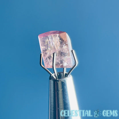 Pink Rubellite Tourmaline Faceted Mini Gemstone in Specimen Pottle