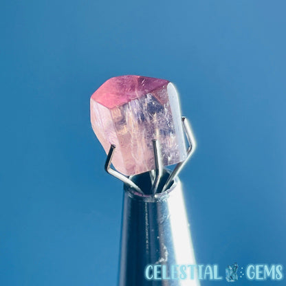 Pink Rubellite Tourmaline Faceted Mini Gemstone in Specimen Pottle