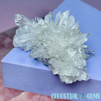 Chrysanthemum Quartz Small Cluster