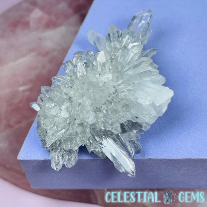 Chrysanthemum Quartz Small Cluster