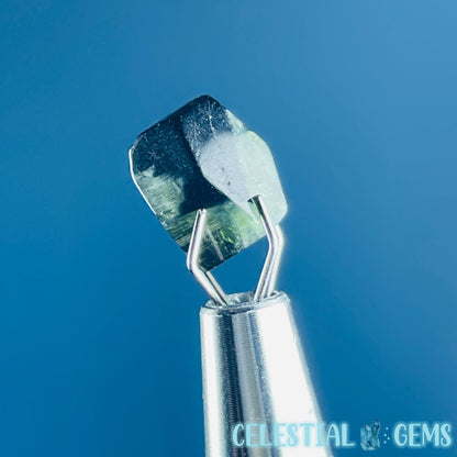 Green Verdilite Tourmaline Faceted Mini Gemstone in Specimen Pottle