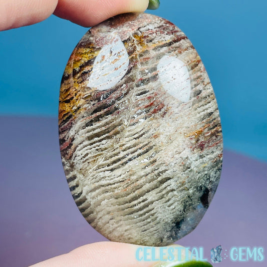 Thousand Layer Garden Quartz Palmstone