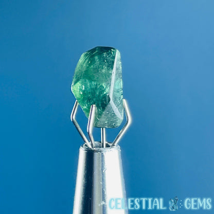 Green Verdilite Tourmaline Faceted Mini Gemstone in Specimen Pottle