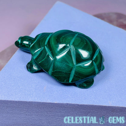 Malachite Tortoise Small Carving