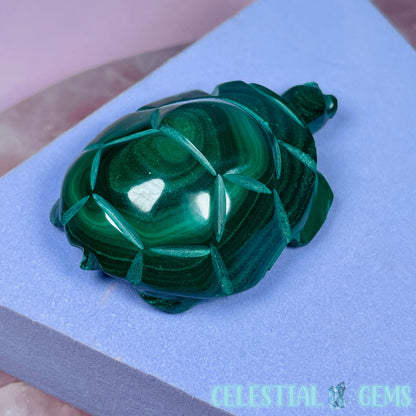 Malachite Tortoise Small Carving
