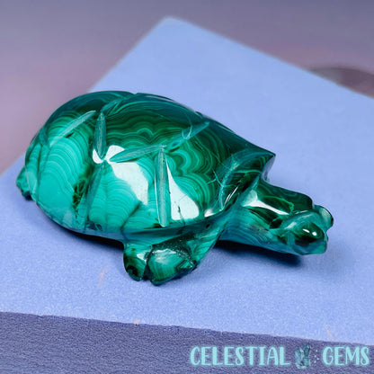Malachite Tortoise Small Carving