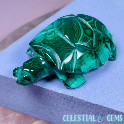 Malachite Tortoise Small Carving