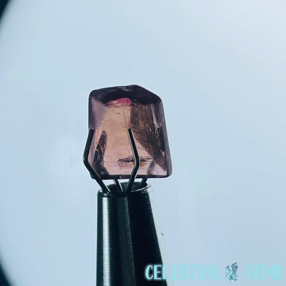 Pink Rubellite Tourmaline Faceted Mini Gemstone in Specimen Pottle