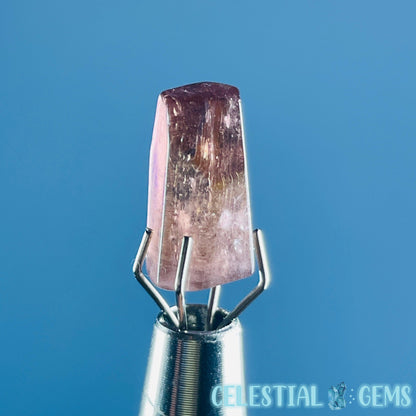 Pink Rubellite Tourmaline Faceted Mini Gemstone in Specimen Pottle