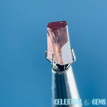 Pink Rubellite Tourmaline Faceted Mini Gemstone in Specimen Pottle