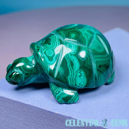 Malachite Tortoise Small Carving