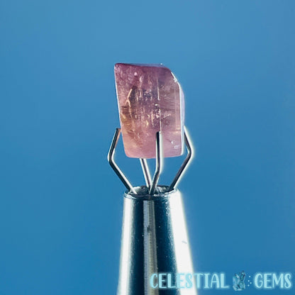 Pink Rubellite Tourmaline Faceted Mini Gemstone in Specimen Pottle