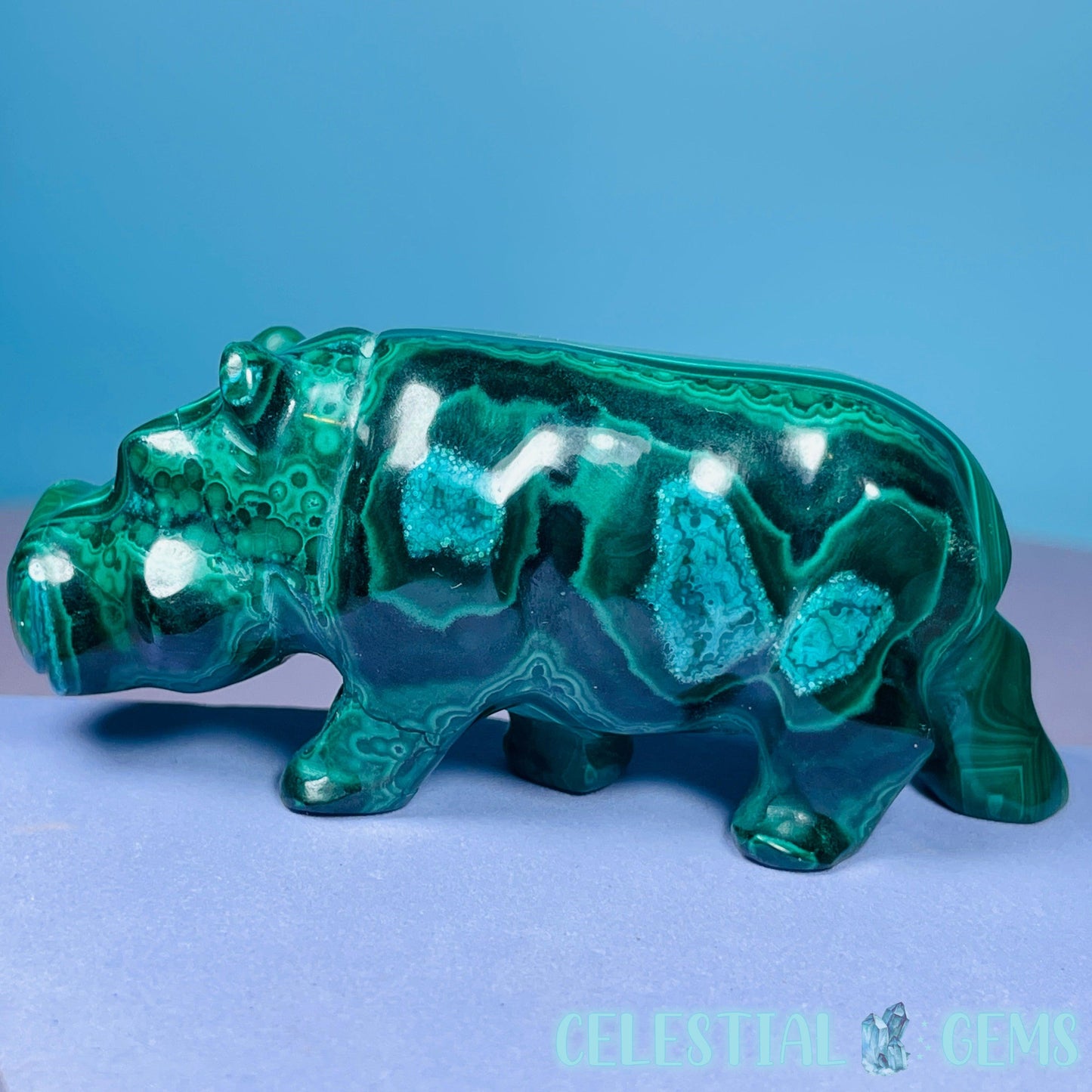 Malachite + Chrysocolla Hippopotamus Small Carving