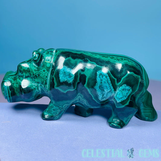 Malachite + Chrysocolla Hippopotamus Small Carving