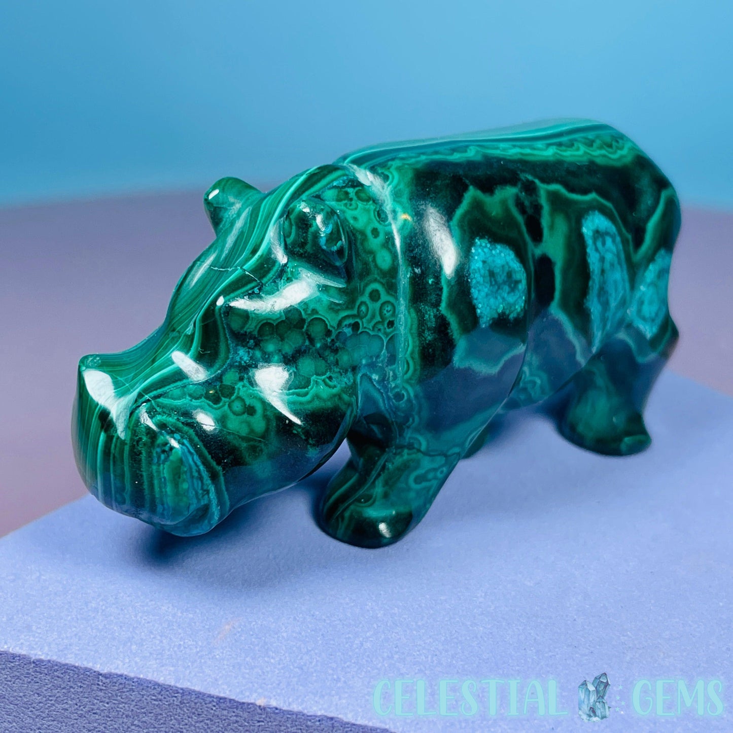 Malachite + Chrysocolla Hippopotamus Small Carving