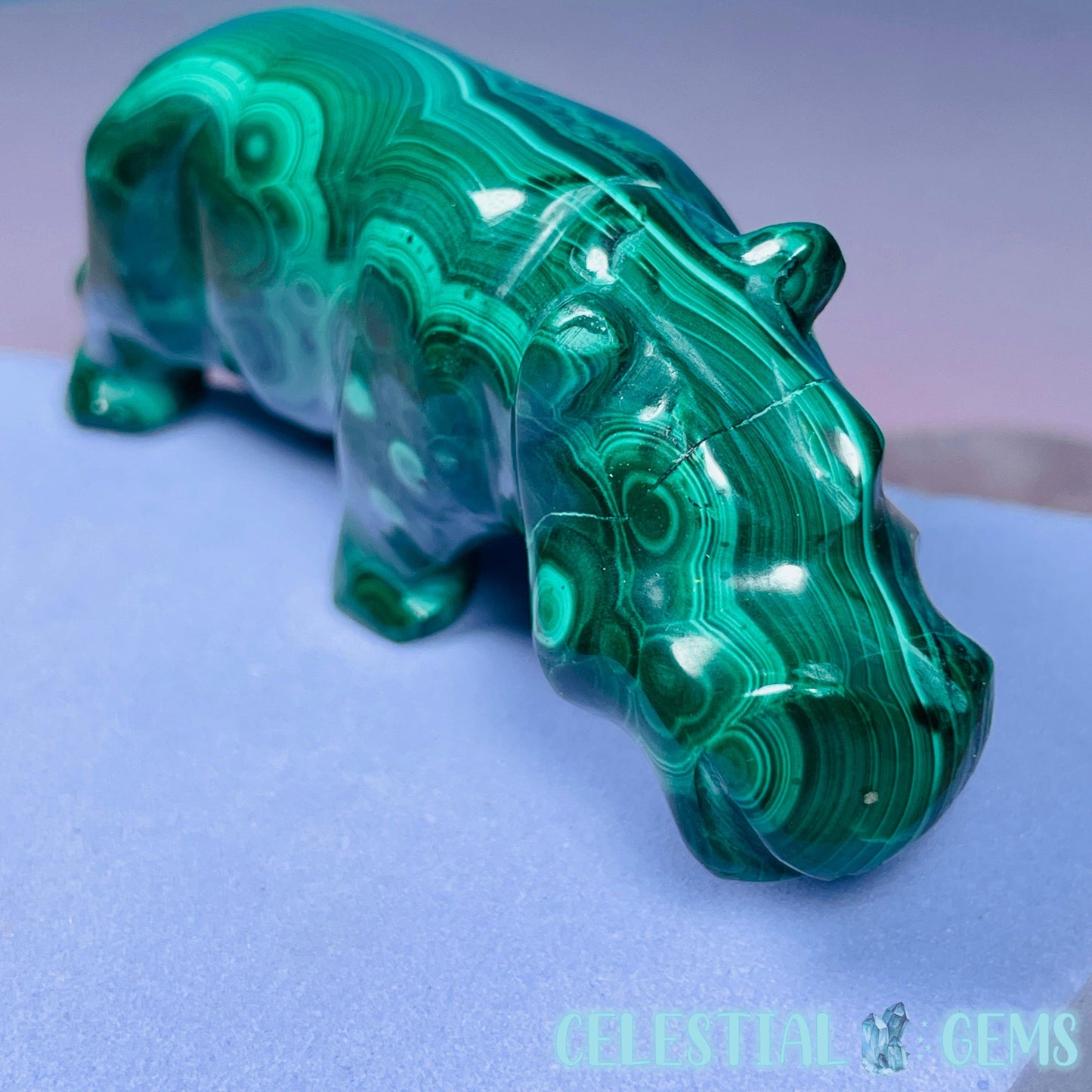 Malachite + Chrysocolla Hippopotamus Small Carving