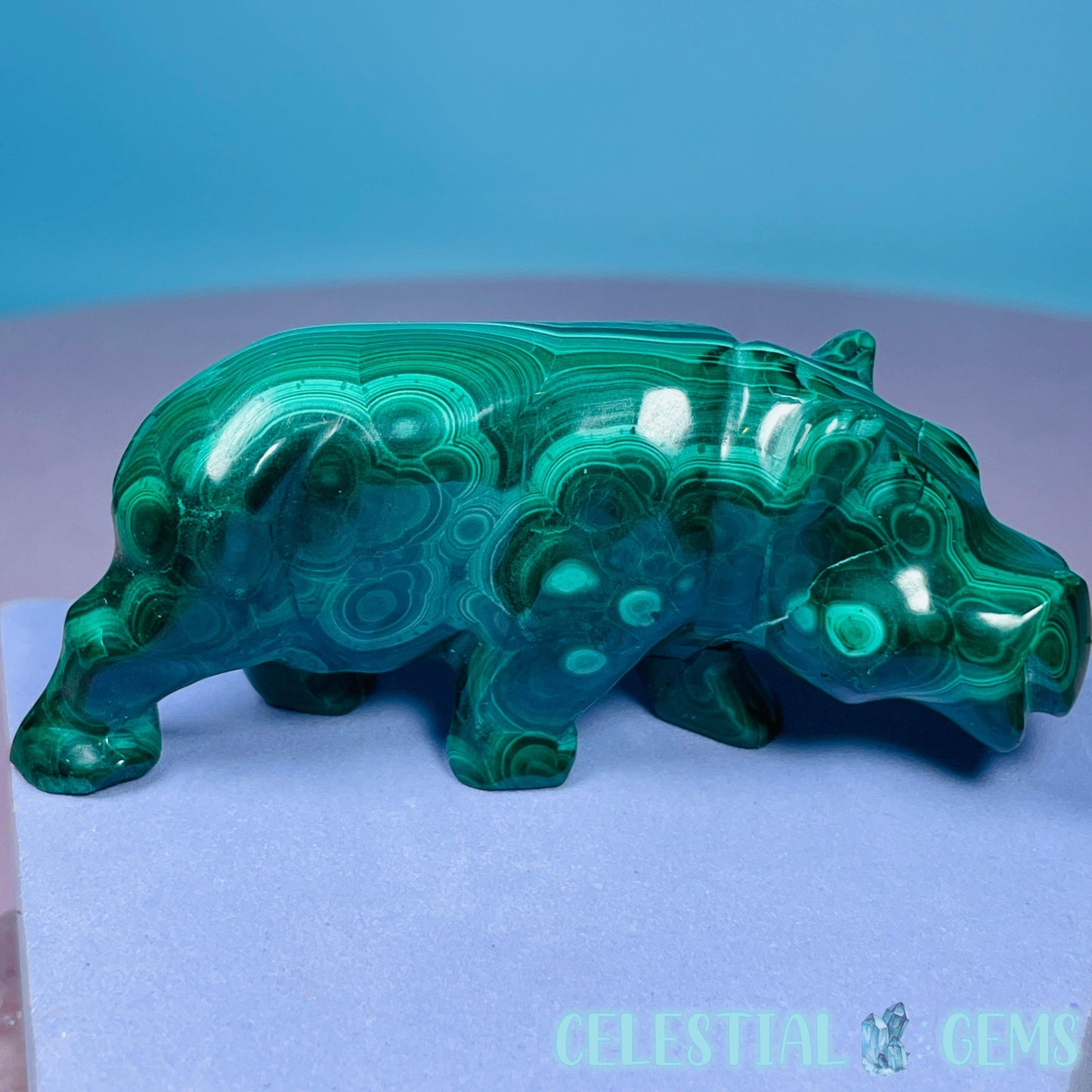 Malachite + Chrysocolla Hippopotamus Small Carving