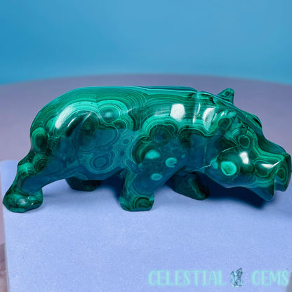 Malachite + Chrysocolla Hippopotamus Small Carving