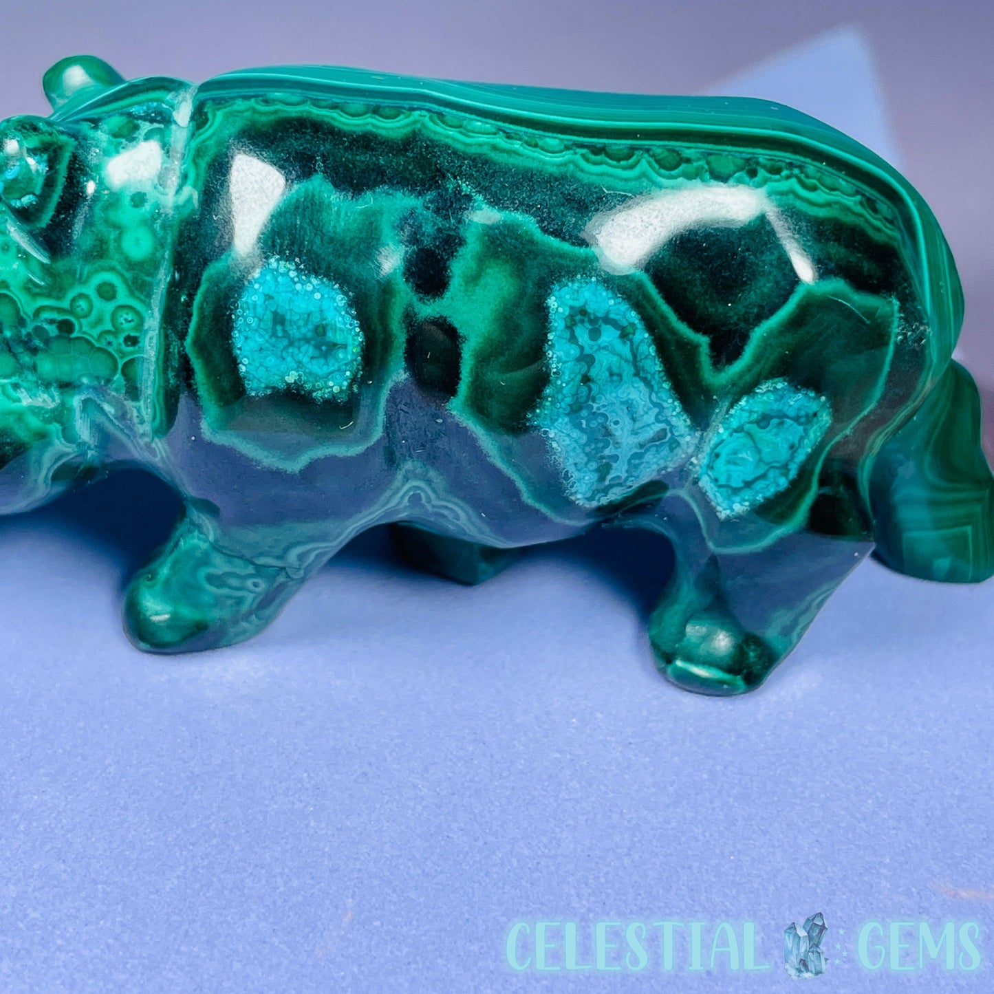 Malachite + Chrysocolla Hippopotamus Small Carving