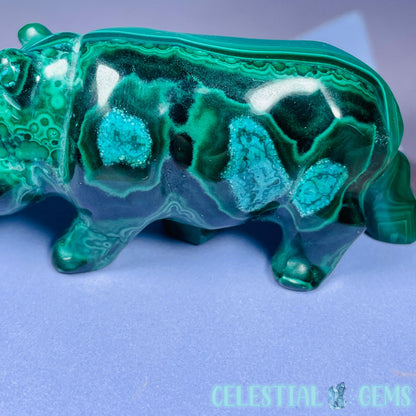 Malachite + Chrysocolla Hippopotamus Small Carving
