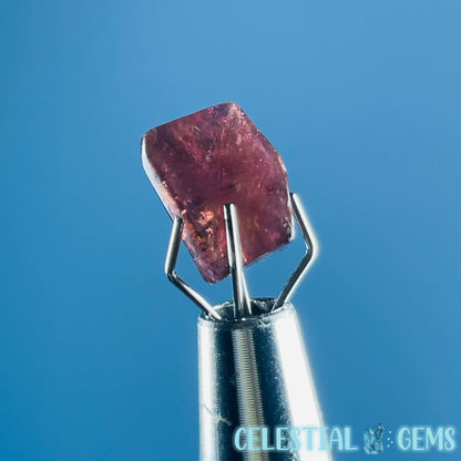 Pink Rubellite Tourmaline Faceted Mini Gemstone in Specimen Pottle