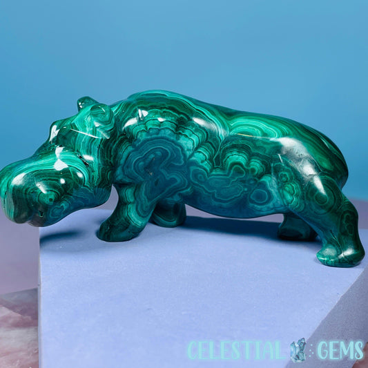 Malachite Hippopotamus Medium Carving