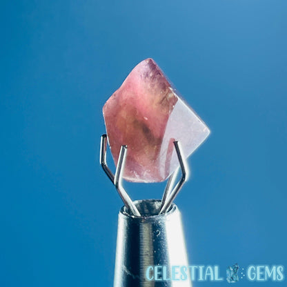 Pink Rubellite Tourmaline Faceted Mini Gemstone in Specimen Pottle