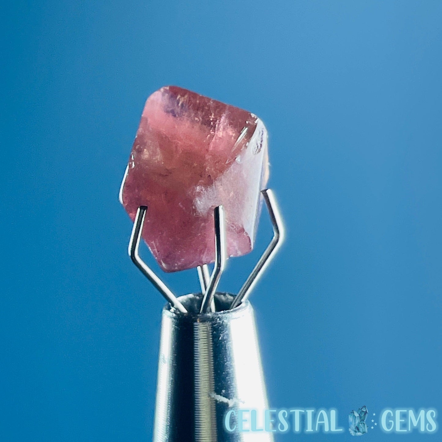 Pink Rubellite Tourmaline Faceted Mini Gemstone in Specimen Pottle