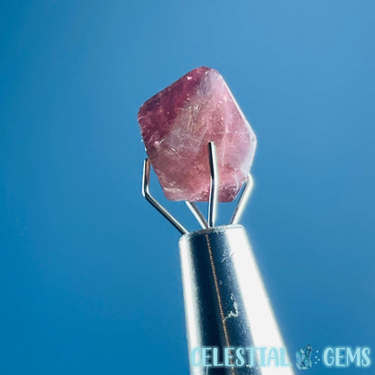 Pink Rubellite Tourmaline Faceted Mini Gemstone in Specimen Pottle