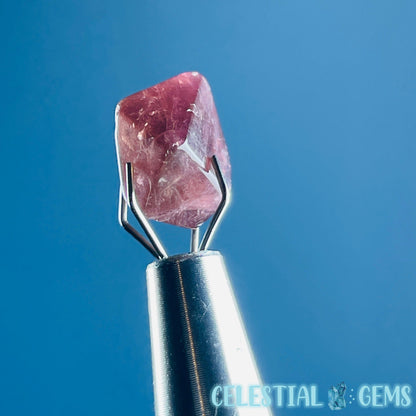 Pink Rubellite Tourmaline Faceted Mini Gemstone in Specimen Pottle