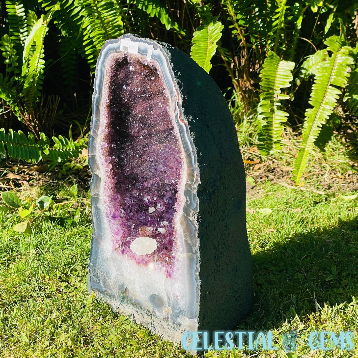 Dark Amethyst + UV Calcite Large Geode Cave (Video)