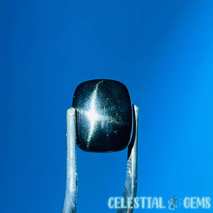 Black Star Diopside Polished Gemstone Cabochon (Video)