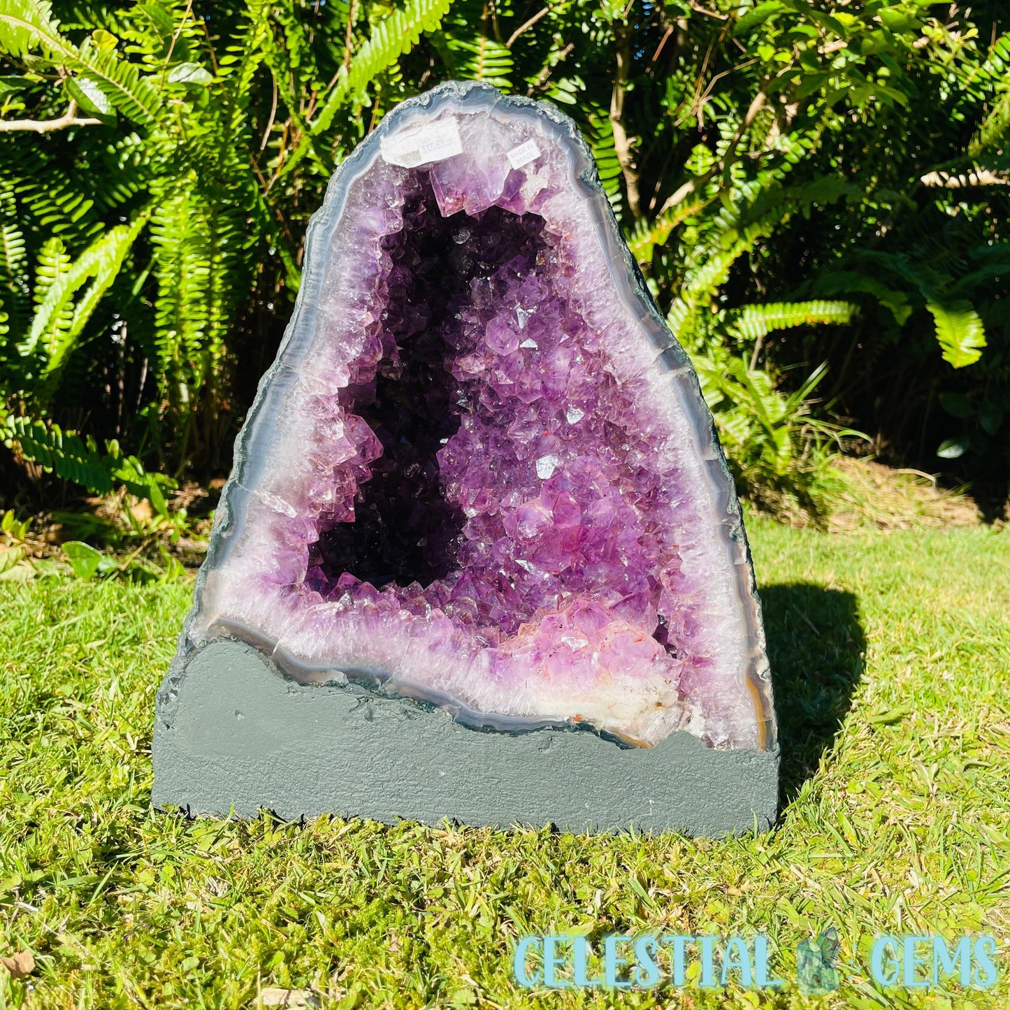 Dark Amethyst Large Geode Cave (Video)