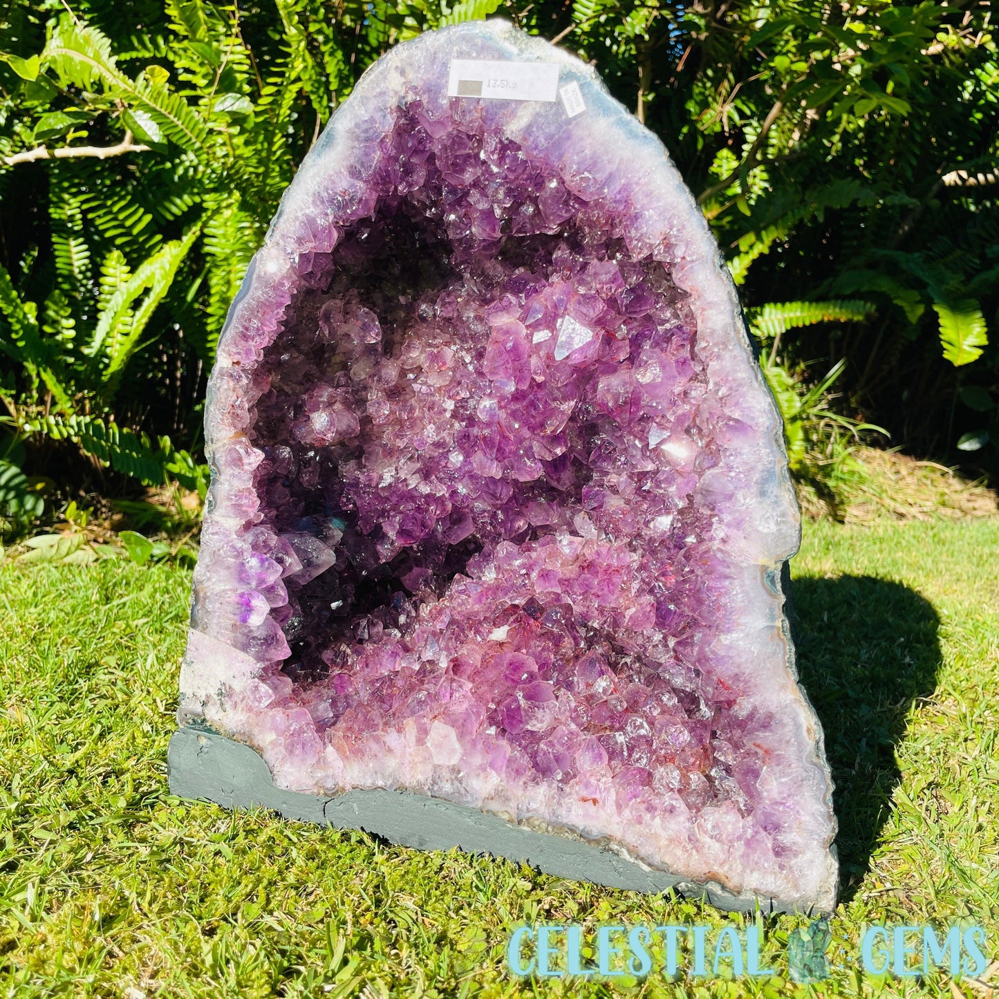 Dark Amethyst Large Geode Cave (Video)