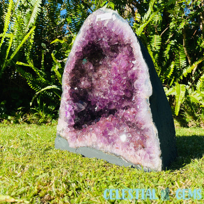 Dark Amethyst Large Geode Cave (Video)