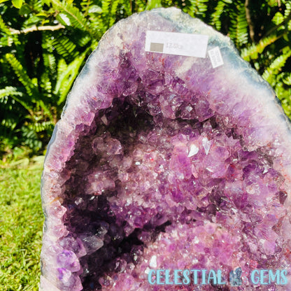 Dark Amethyst Large Geode Cave (Video)