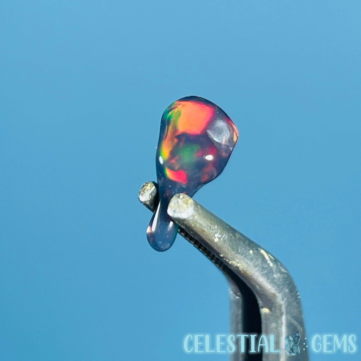 AAA Ethiopian Black 'Fire' Welo Opal Polished Tiny Crystal in Specimen Pottle (Video)