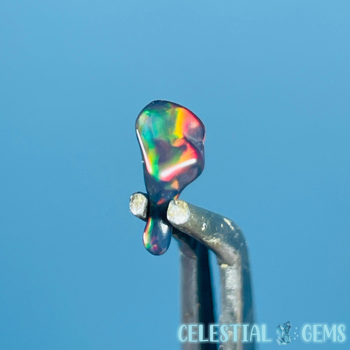 AAA Ethiopian Black 'Fire' Welo Opal Polished Tiny Crystal in Specimen Pottle (Video)