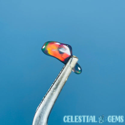 AAA Ethiopian Black 'Fire' Welo Opal Polished Tiny Crystal in Specimen Pottle (Video)